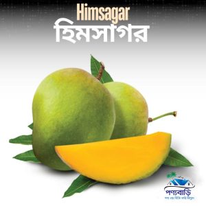 বিখ্যাত হাড়িভাঙ্গা আম | Haribhanga Mango | ফরমালিনমুক্ত আম – 12 kg