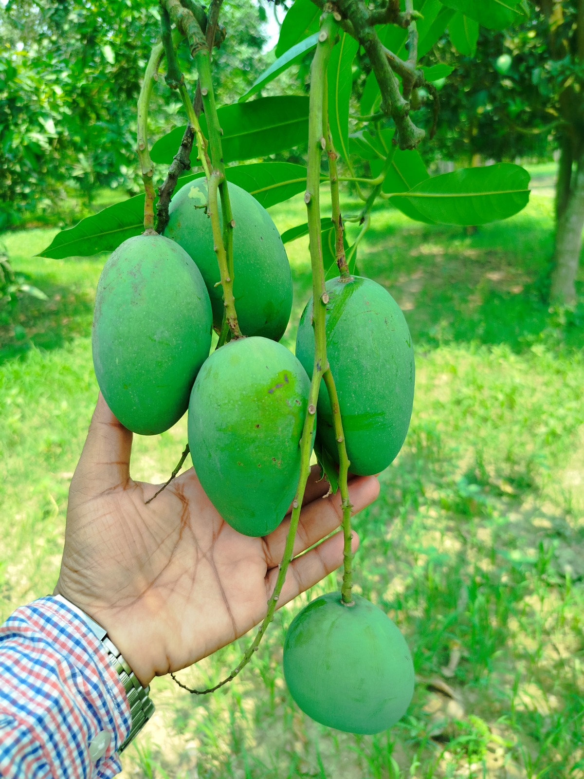 WhatsApp Image 2025-05-27 at 9.40.53 PM